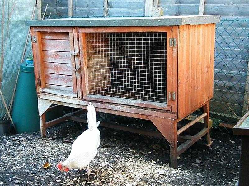 Rabbit Hutch for Sale