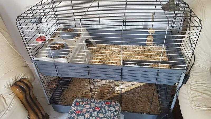 Rabbitguinea pig cage