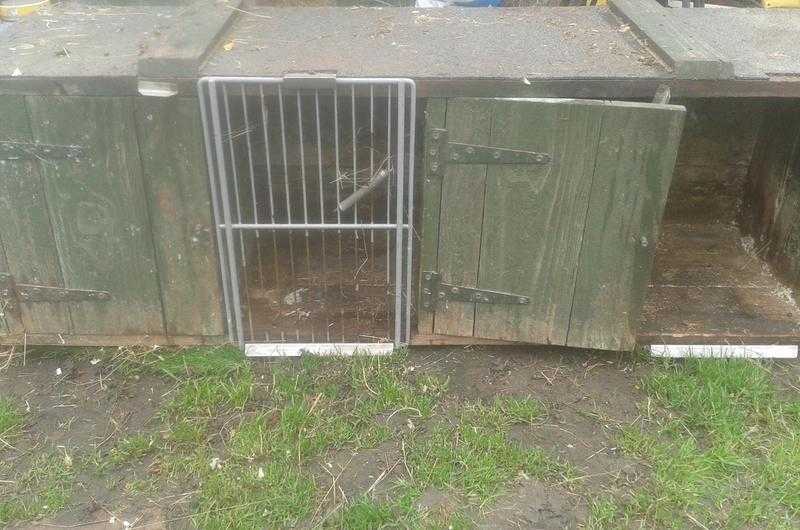 rabbitguinea piganimal cages for sale