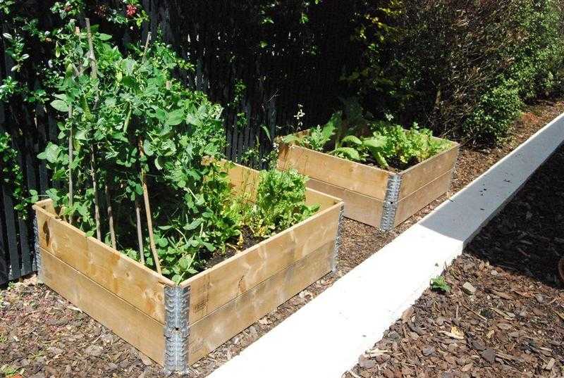 Raised Garden FlowerVeg Bed