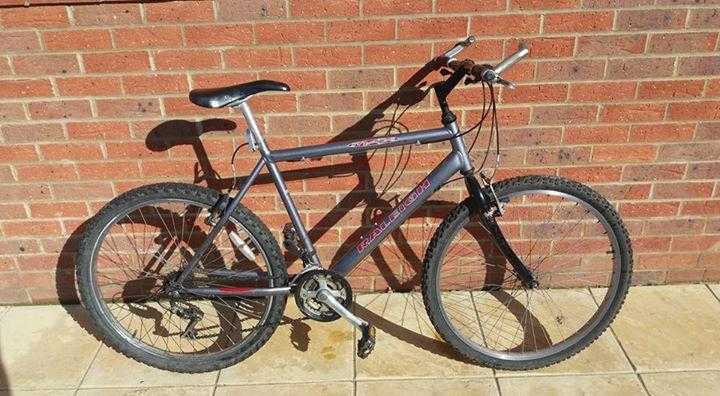 Raleigh 18 speed mountain bike