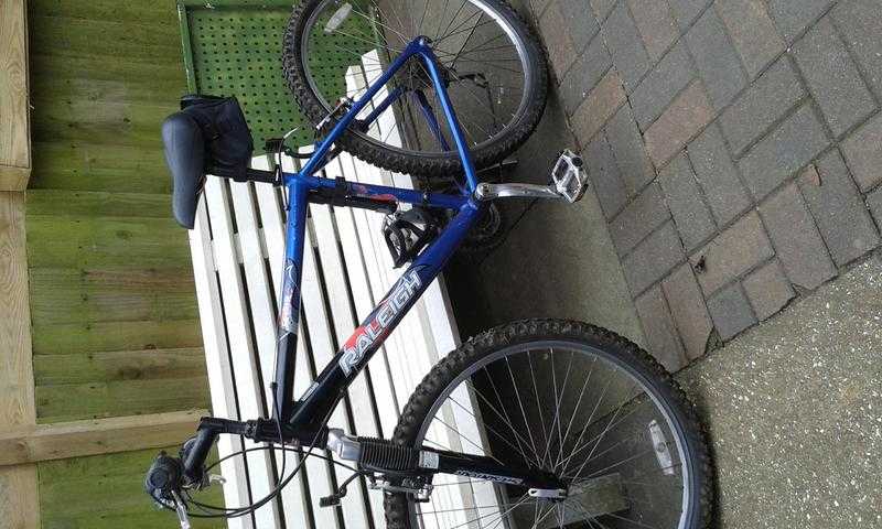 Raleigh 18inch bike forsale