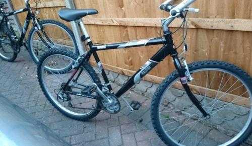 Raleigh Firefly mountain bikes x 2