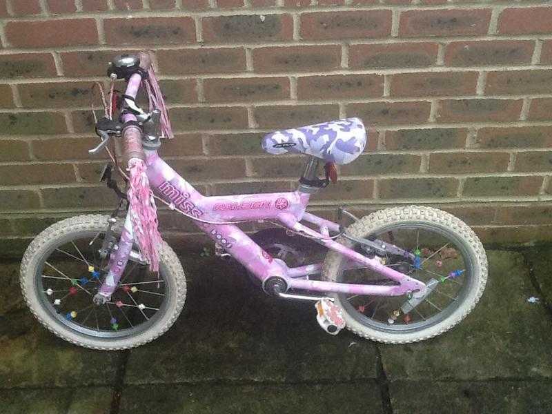 Raleigh Girls Bike