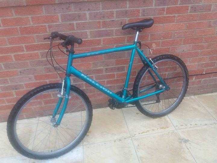 Raleigh max 18 speed