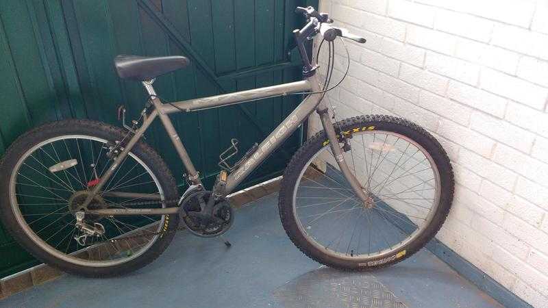 Raleigh Max 18quot bike