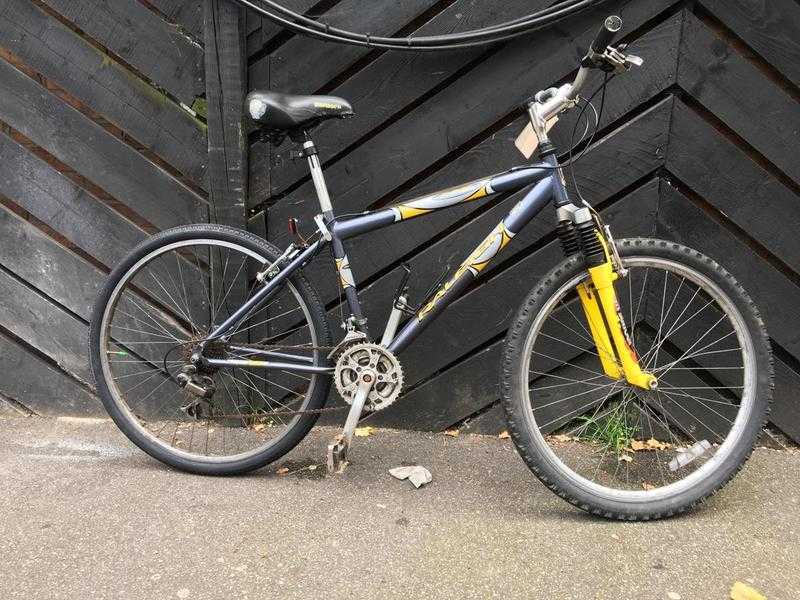 RALEIGH MAX MOUNTAIN BIKE