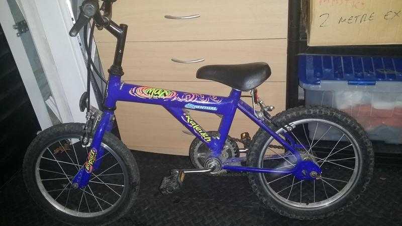 Raleigh Max unisex childrens bike.