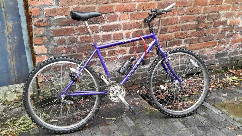 Raleigh Moutain bike in perfect working order