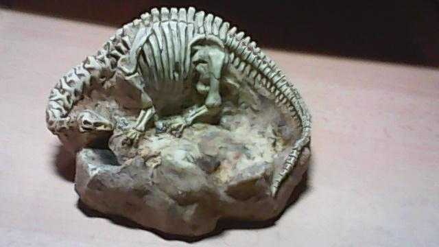 RARE amp UNUSUAL DINOSAUR FOSSIL ASHTRAY