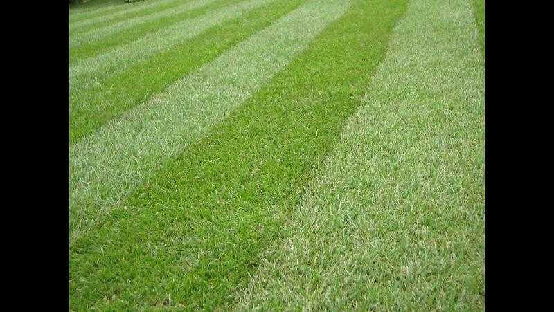 Rb mowing and garden services