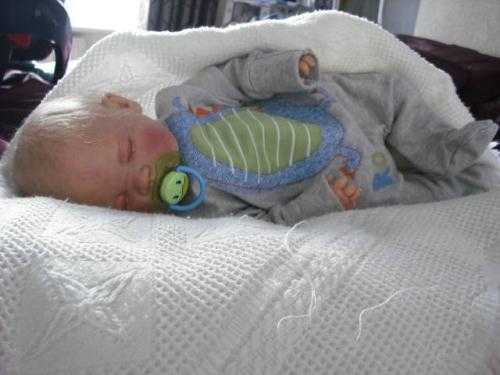 Reborn doll Joel