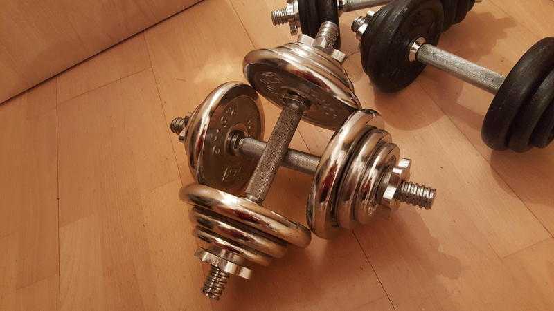 Reebok Stainless Steel Dumbells - 20KG