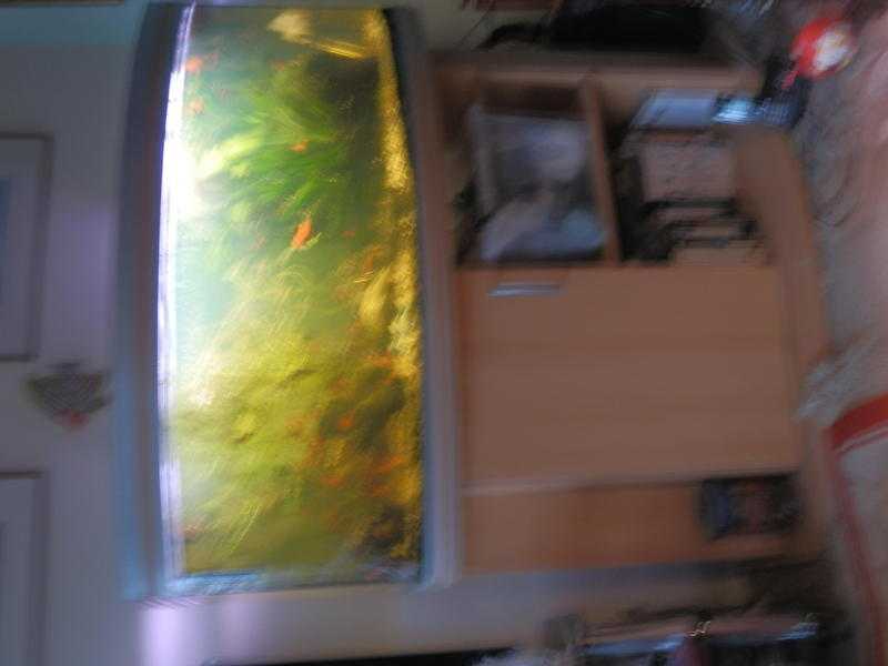 RENA AQUARIUM 4FT BOW FRONTED WITH CABINET