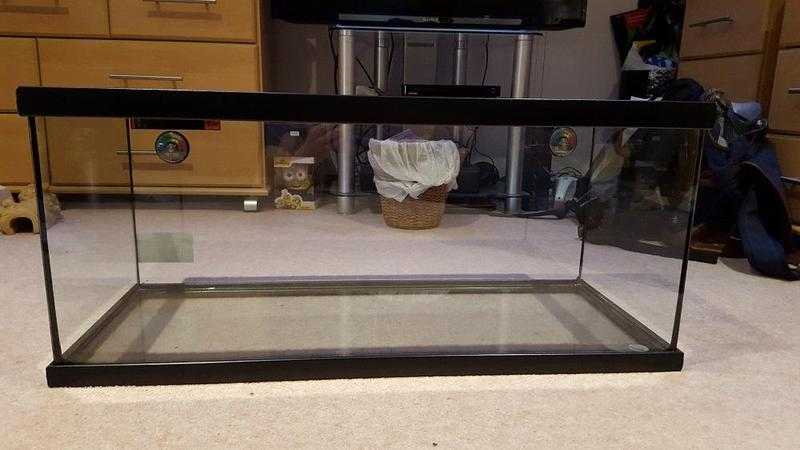 Reptile Vivarium