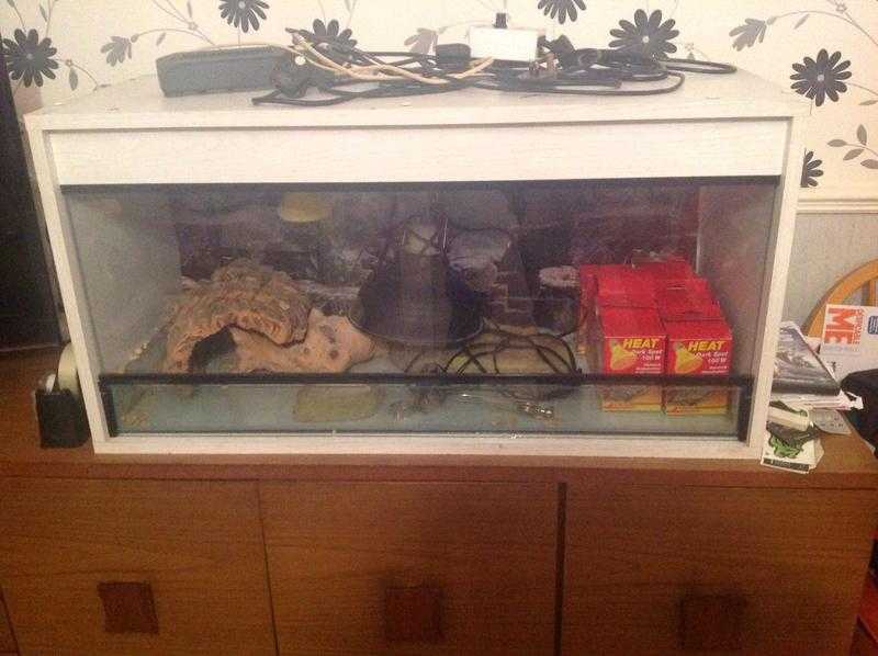 Reptile vivarium tank with extras 100 ovno