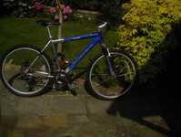 Ridgeback Speed for Sale