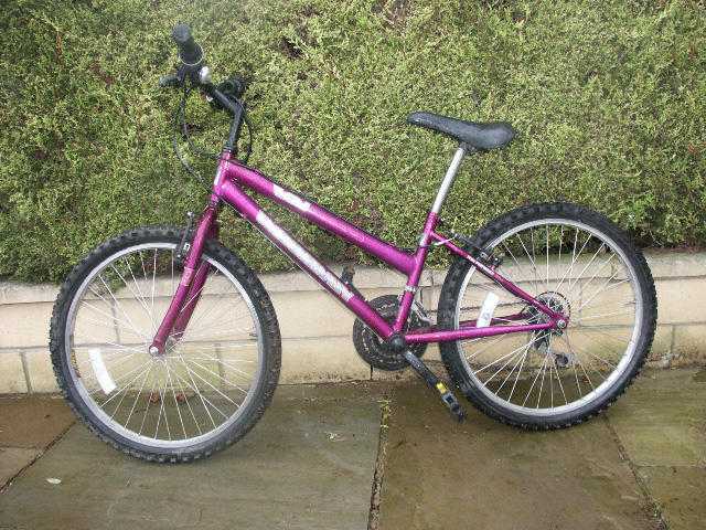 Ridgeway purple mountain bike