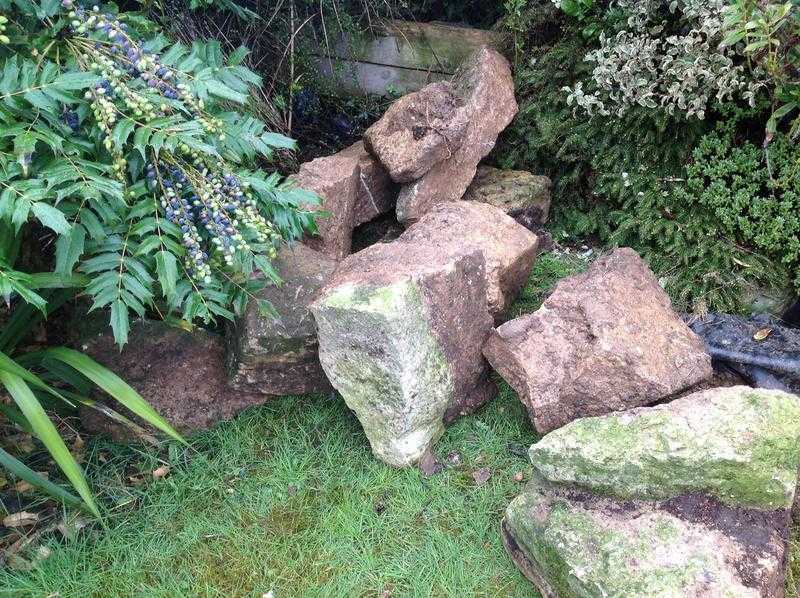 rockery stones