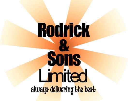 Rodrick amp Sons Limited  Expert management and business consultancy