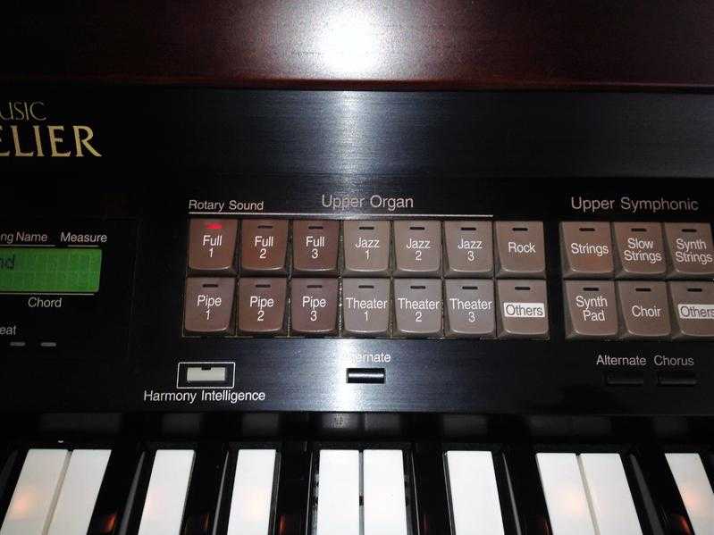 Roland AT 80 Organ