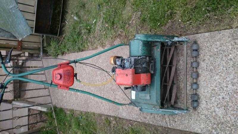 Roller blade lawn mower for sale