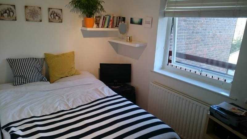 Room in friendly flat share, Hove.