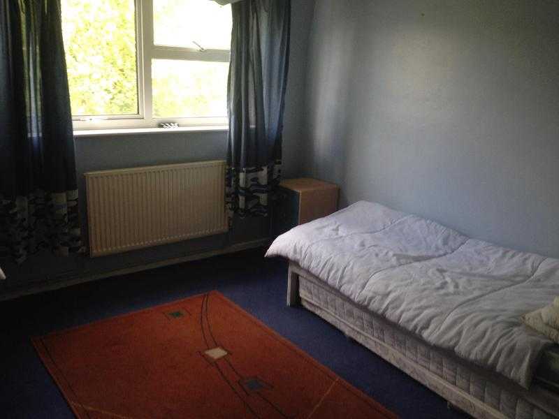 Room in shared flat to rent