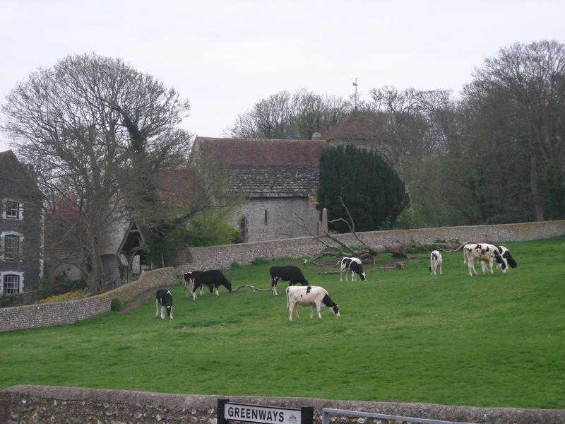 Room with Views Pretty Cottage in Conservation Area, Ovingdean,(RottingdeanBrighton)