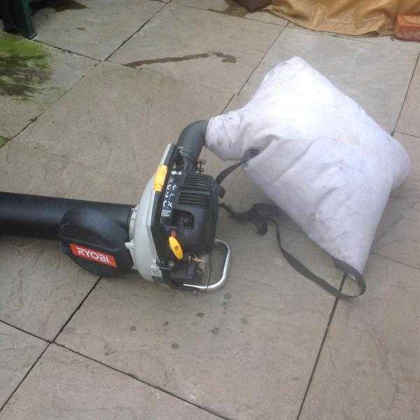 Ryobi garden petrol Hoover