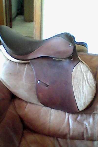 Saddle