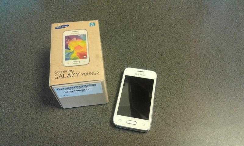 Samsung galaxy young 2