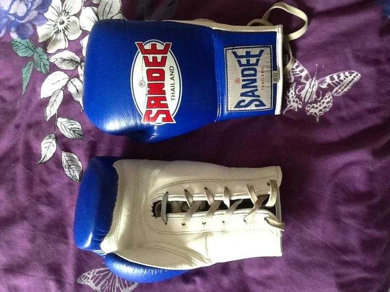 Sandee 8oz boxing gloves