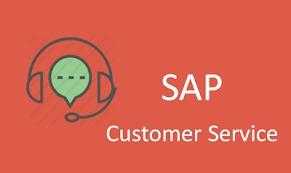 SAP CS ONLINE TRAINING