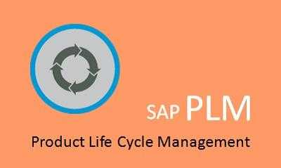 SAP PLM Online Training with Live Project and Job Assistance