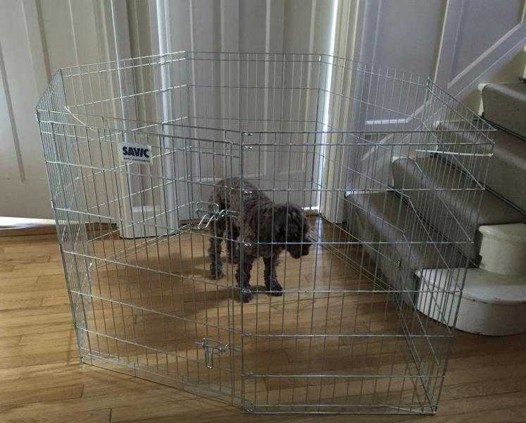 Savic dog pen