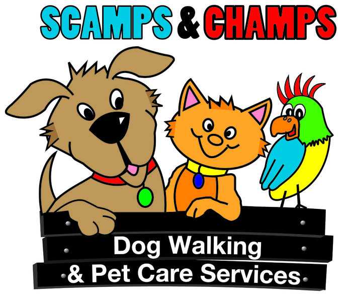 Scamps and champs dog walking and pet care services