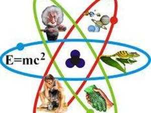 Science tutoring for GCSE