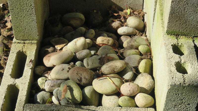 Scottish Washed Pebbles, used in the constuction of a garden railway