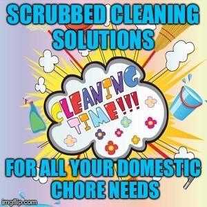 Scrubbed cleaning solutions - domestic cleaners
