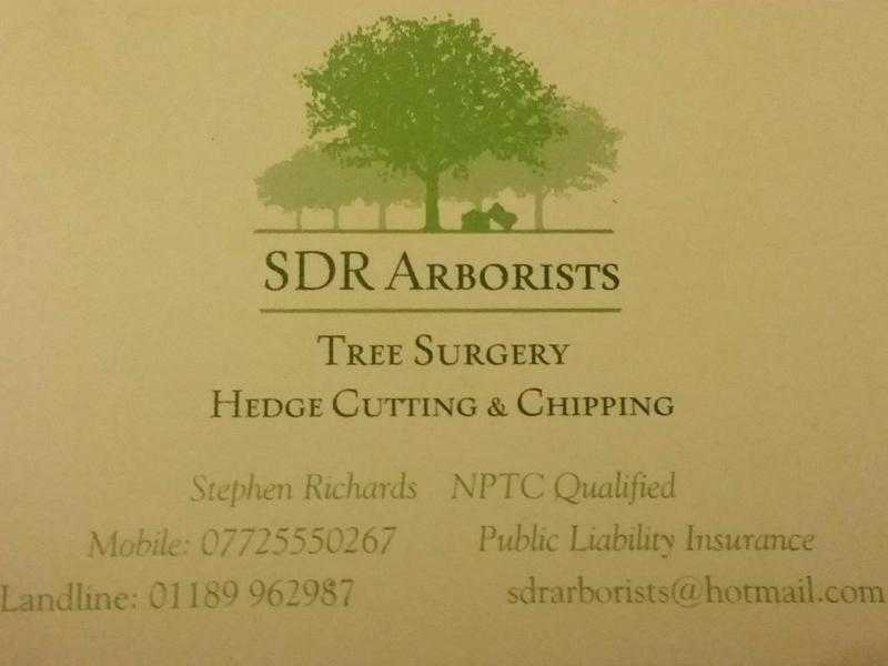 SDR Arborists Ltd Tree Surgery Berkshire