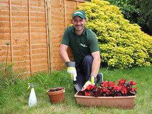 Seaford garden services