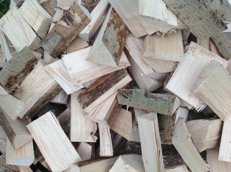 Seasoned firewood logs