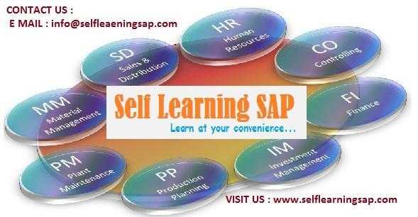 Self Learning SAP Online Videos are offered