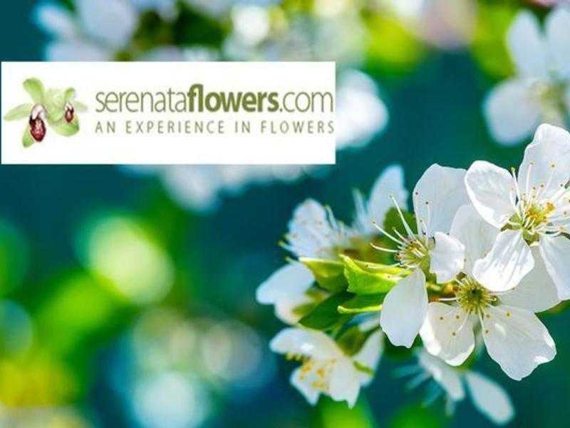Serenata Flowers Discount Code amp Voucher Code  up to 20 OFF
