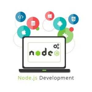 Services provided by the Node JS development Company