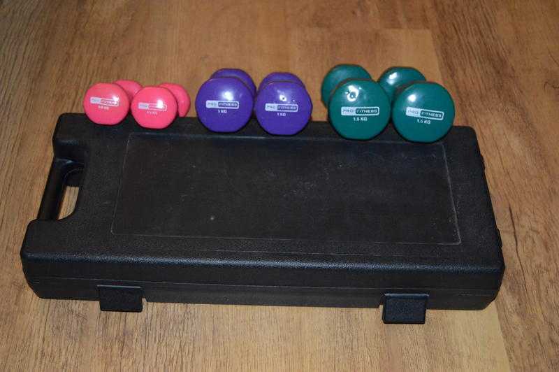 SET of 3 PAIRS of WEIGHTS with CASE