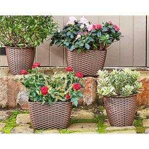 Set Of 4 Rattan Planters