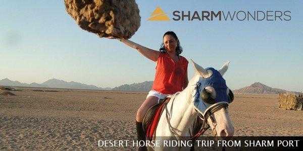 sharm excursions