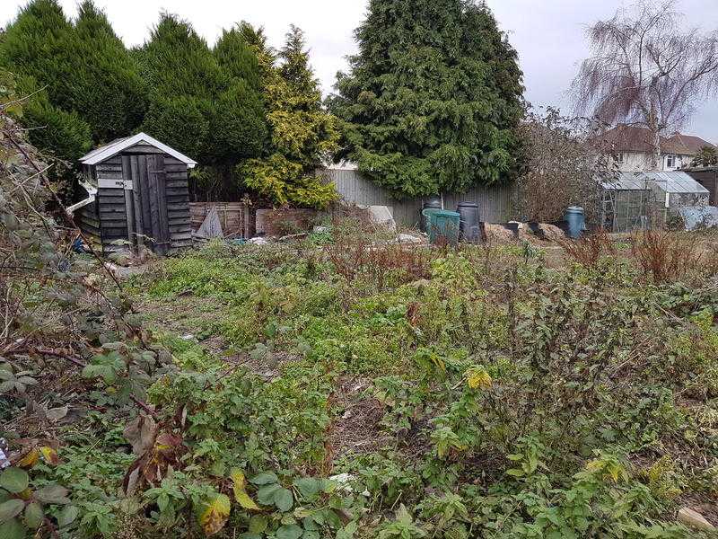 Shepway Chariots Community AllotmentGarden.